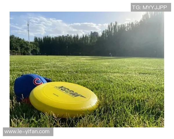 飞盘热潮席卷上海:探索飞盘队灵活性与战术变革之路MBA